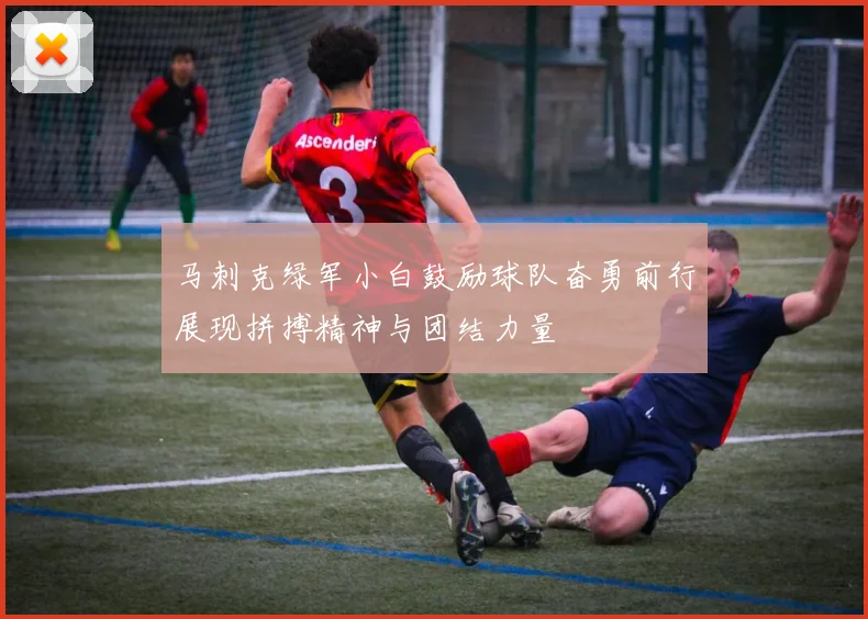 马刺克绿军小白鼓励球队奋勇前行展现拼搏精神与团结力量